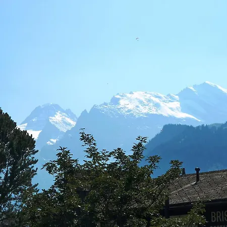 Biwak Apartment Wengen